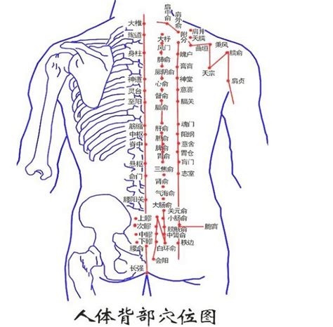 脊椎有痣|女人背部痣相与命运图解：痣的位置决定命运？